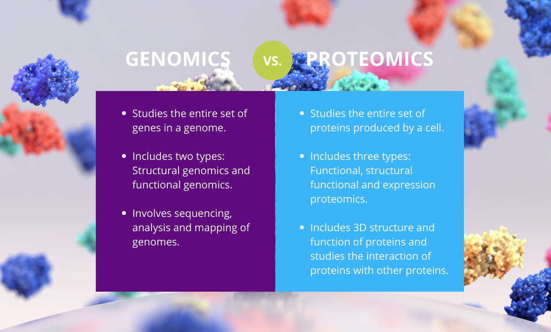 What’s The Difference Between Proteomics And Genomics?