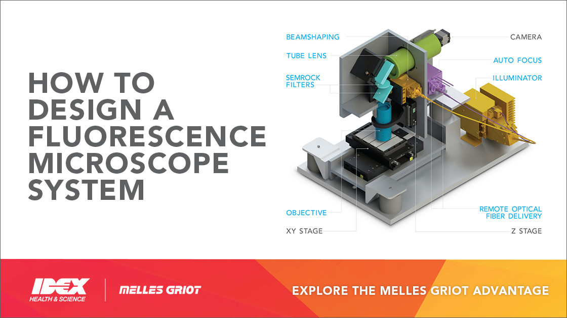 MG-Advantage-Header-1 How to Design a Fluorescence Microscope System