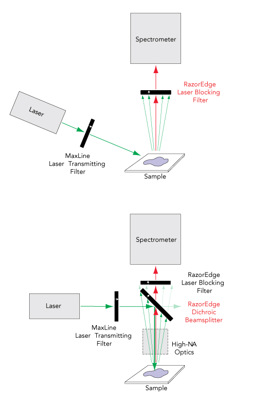 raman spectroscopy system set up 