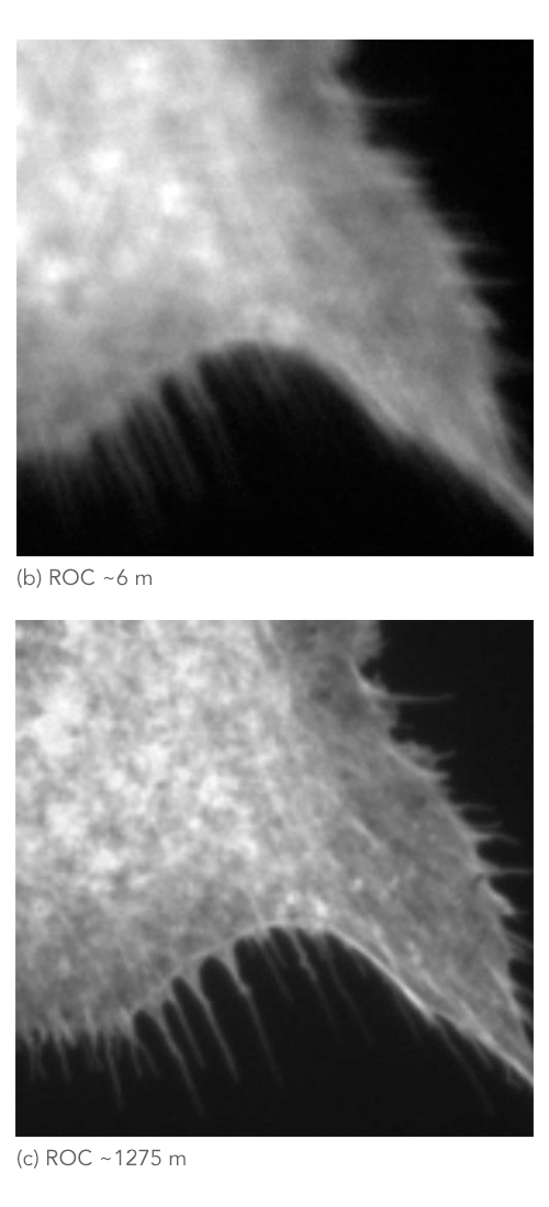 image output on a BX41 microscope