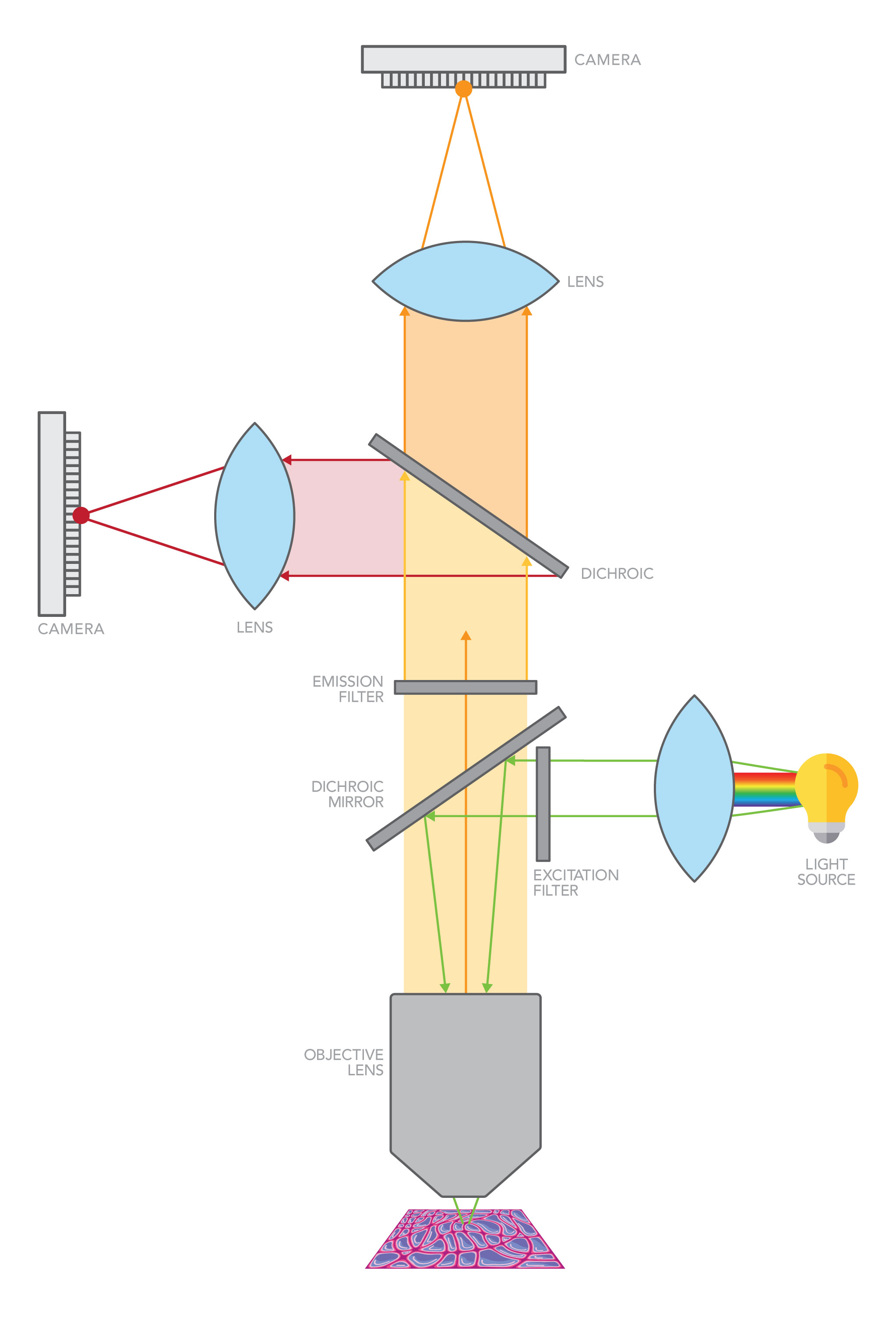 The entire field of view is illuminated, but two or more detection cameras are used simultaneously