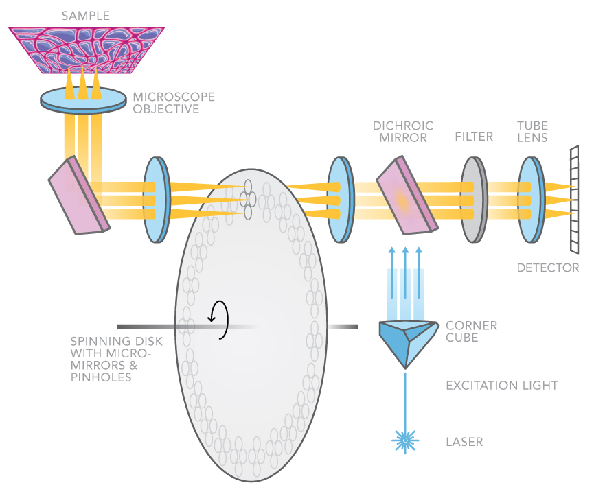 laser beam is used to illuminate the sample in a particular way and a camera is used in detection